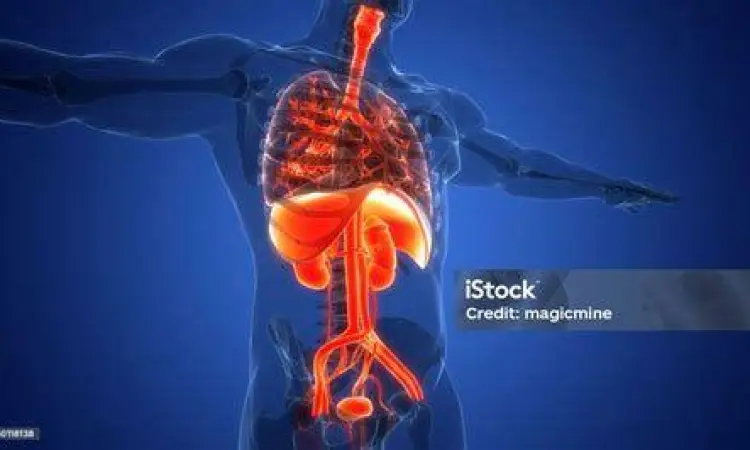 Diagram anatomi organ internal tubuh manusia