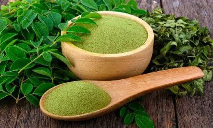 Bubuk daun kelor untuk teh kesehatan