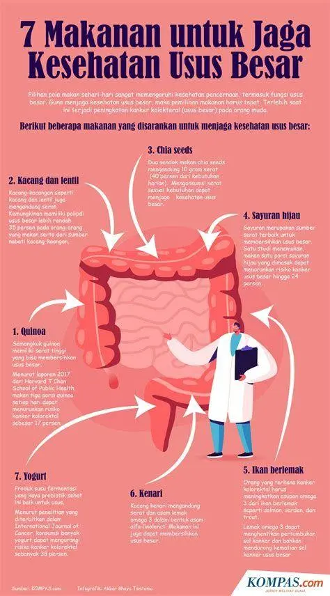 Nutrisi Usus Sehat Makanan tinggi serat untuk kesehatan kolon