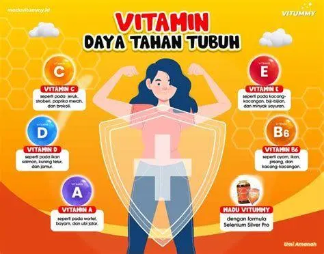 Vitamin E dan Kekebalan Tubuh Manfaat vitamin E bagi imunitas