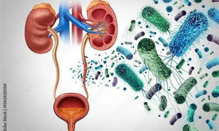 Bakteri Penyebab Anyang-anyangan bakteri e coli pada saluran kemih