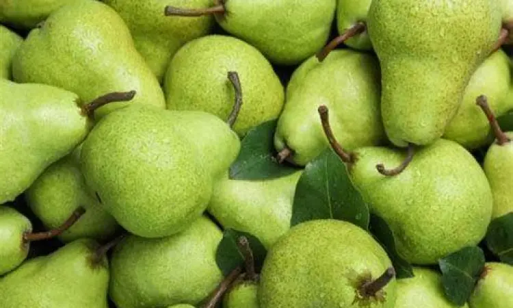 Detail nutrisi buah pir hijau dan kuning