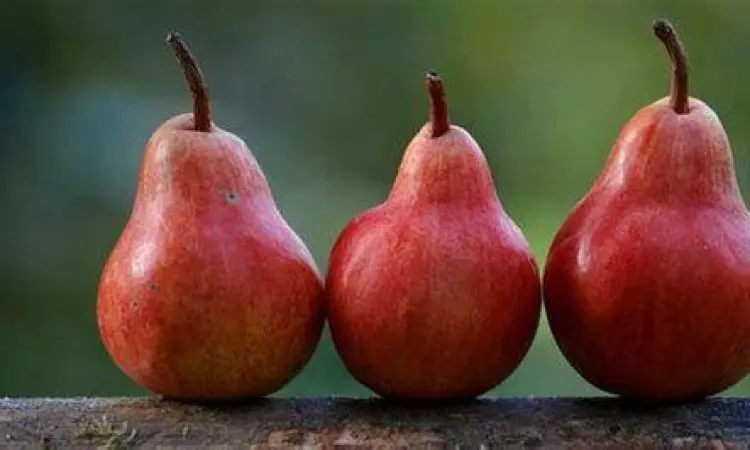 Buah pir merah yang kaya antosianin