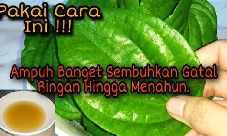 Mengobati gatal kulit menahun dengan salep