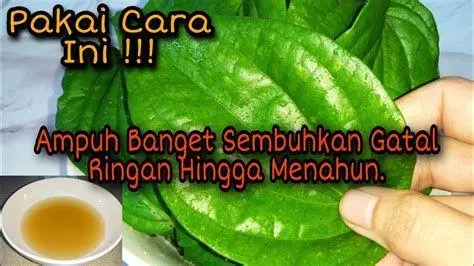 Tips Mengatasi Gatal Menahun Mengobati gatal kulit menahun dengan salep