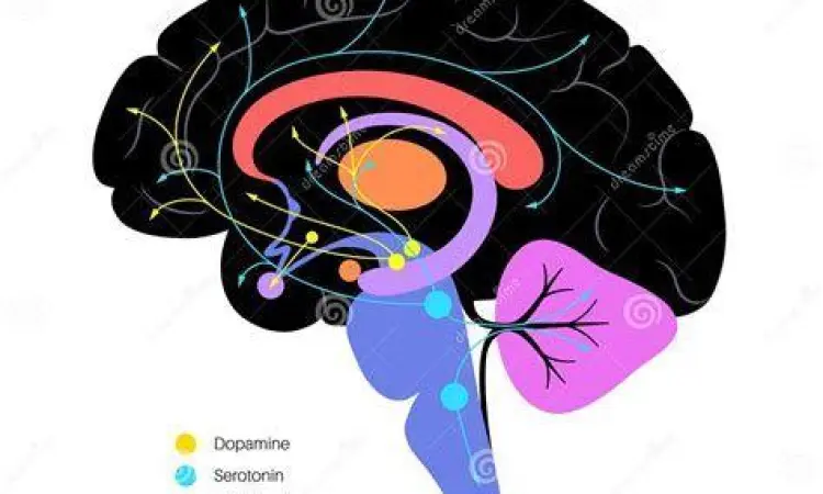 Keseimbangan Kimiawi Otak Ilustrasi zat kimia otak serotonin dan dopamin