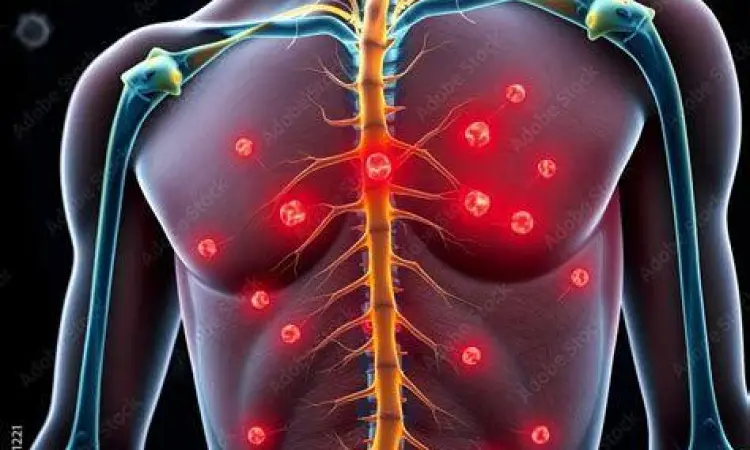 Anatomi saraf kulit yang merespons rasa gatal