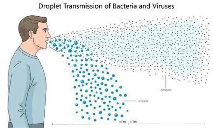 Penularan Virus Paramyxovirus Mekanisme penularan virus melalui droplet