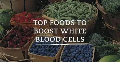 Investasi Kesehatan dengan Livron B Plex Gaya hidup sehat dengan dukungan mikronutrien