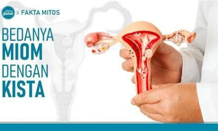 Perbandingan rahim normal dan rahim dengan miom