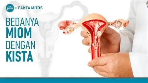 Miom Uteri dan Dampaknya Perbandingan rahim normal dan rahim dengan miom