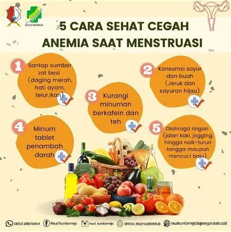Nutrisi Saat Menstruasi Daftar makanan kaya zat besi untuk kesehatan wanita