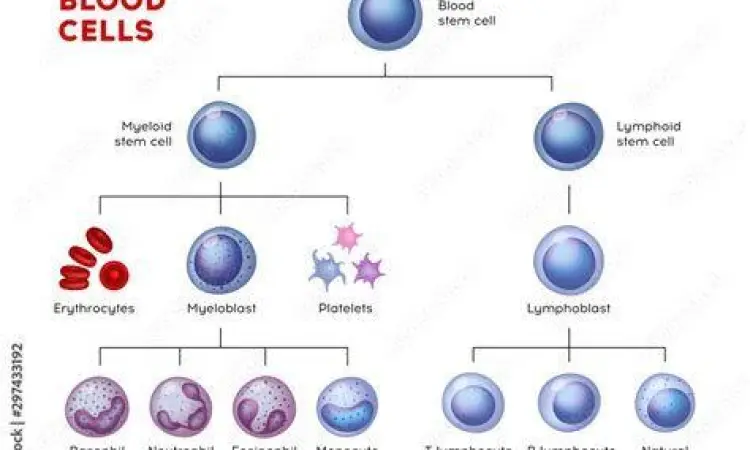 Jenis Sel Darah Manusia Komposisi sel darah merah dan putih dalam mikroskop