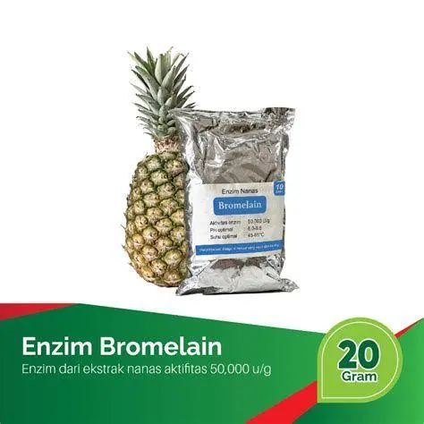 Enzim Bromelain Struktur enzim bromelain pada buah nanas