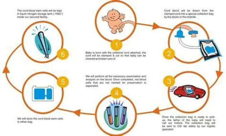 Penyimpanan sel punca tali pusat bayi