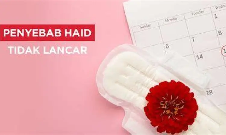 Infografis penyebab haid tidak lancar pada wanita
