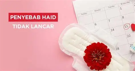 Penyebab Gangguan Haid Infografis penyebab haid tidak lancar pada wanita