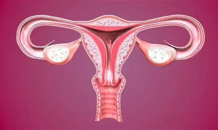 ilustrasi kesehatan organ reproduksi wanita