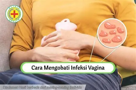 Kesehatan Organ Intim Wanita Tips menjaga kebersihan organ intim