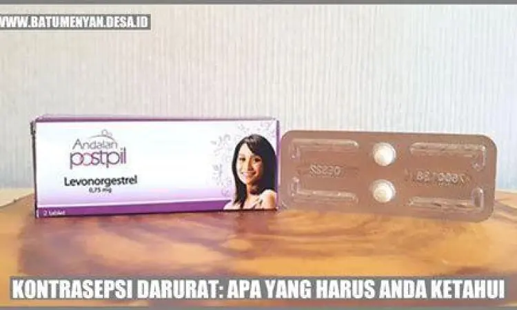Kontrasepsi Darurat Obat kontrasepsi darurat levonorgestrel
