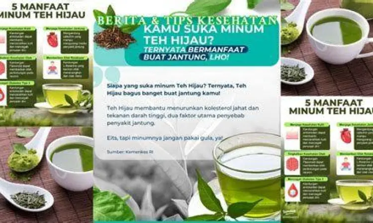Teh Hijau untuk Jantung Manfaat teh hijau untuk sirkulasi darah dan jantung