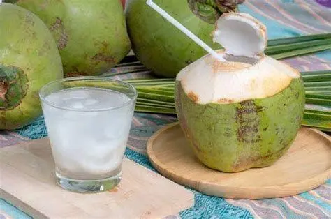 Tips Memilih Kelapa Muda Cara memilih kelapa muda berkualitas
