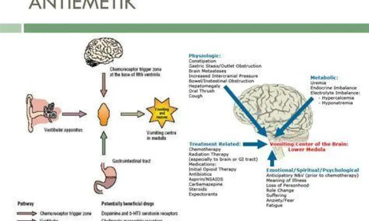 Cara Kerja Obat Mual Ilustrasi mekanisme kerja obat mual muntah di dalam sistem saraf