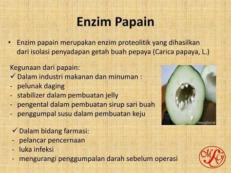 Enzim Papain Alami Ilustrasi struktur enzim papain dalam buah pepaya