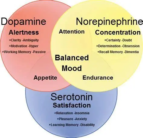 Keseimbangan Kimia Otak Ilustrasi neurotransmitter otak yang mempengaruhi mood