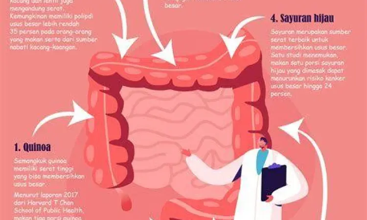 Makanan Sehat untuk Usus Makanan sehat untuk menjaga fungsi pencernaan