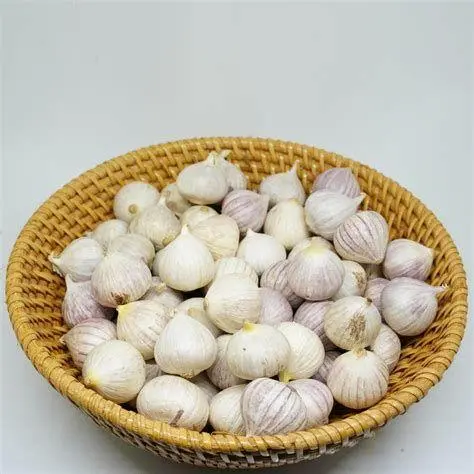 Bawang Putih Tunggal Segar Kumpulan bawang putih tunggal berkualitas tinggi