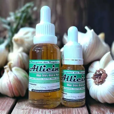 Kandungan Allicin Bawang Lanang Infografis kandungan allicin dalam bawang putih