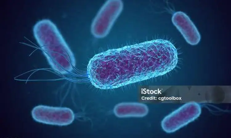 Mikroskop Bakteri E. coli Bakteri E. coli penyebab infeksi saluran kencing