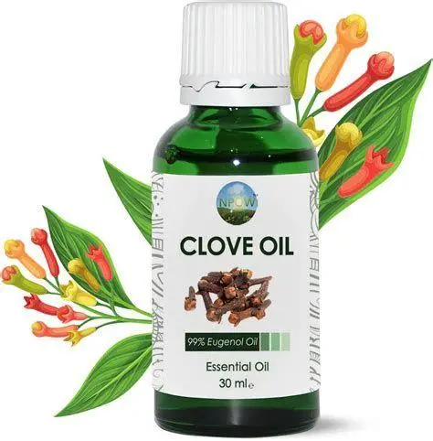 Minyak Cengkeh Alami Minyak cengkeh sebagai obat tradisional sakit gigi