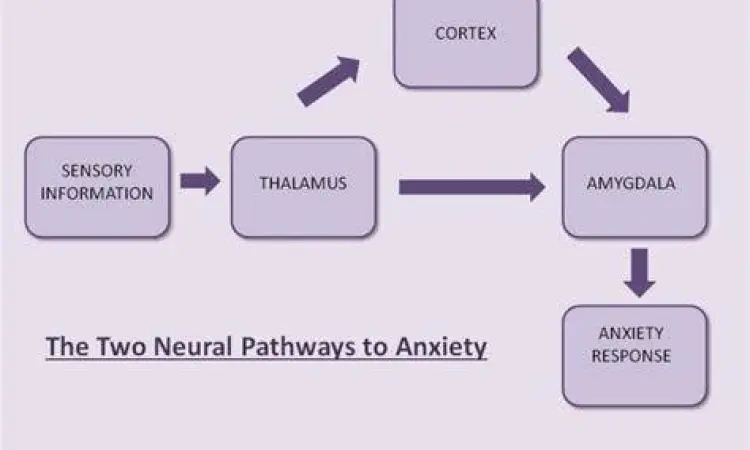 Visualisasi jalur saraf otak yang mengalami stres