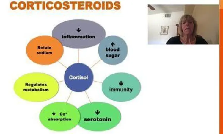 Ilustrasi sistem imun dan kerja kortikosteroid