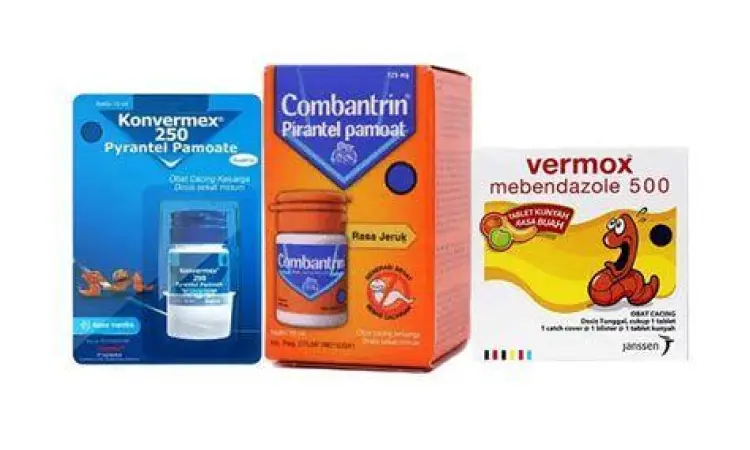 Obat cacing untuk menangani infeksi parasit