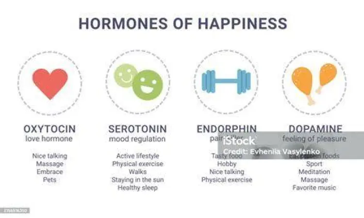 Mekanisme Hormon Kebahagiaan Diagram hormon kebahagiaan dopamin serotonin endorfin