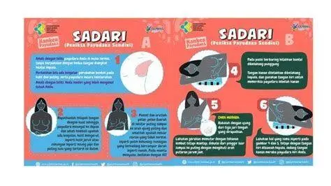Panduan Visual SADARI Langkah-langkah pemeriksaan SADARI yang benar