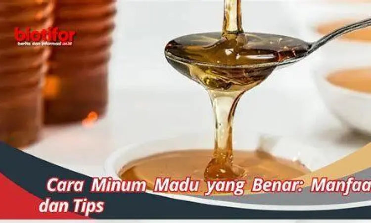 Cara Konsumsi Cara mengonsumsi madu herbal yang benar