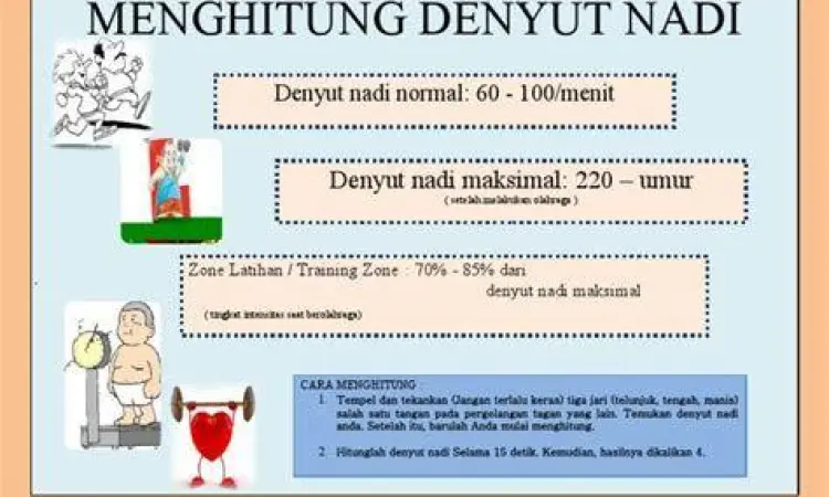 Cara menghitung denyut nadi secara mandiri