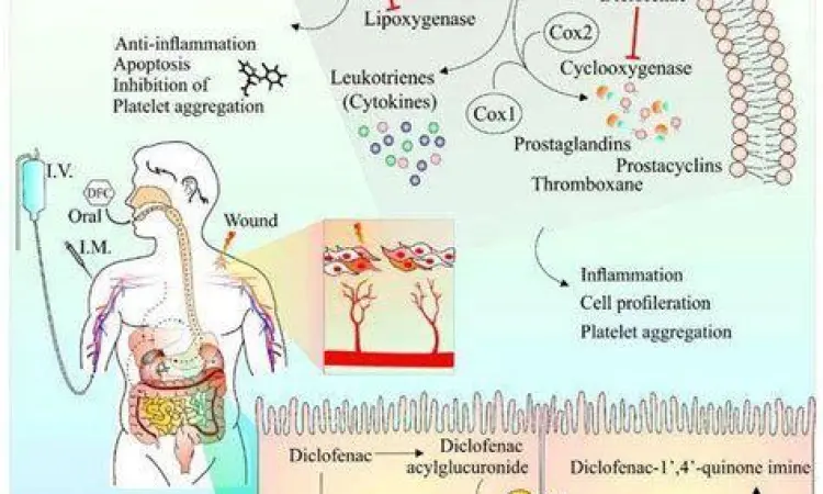 Mekanisme kerja kalium diklofenak dalam tubuh