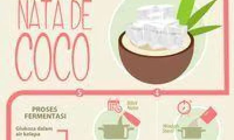 Proses Pembuatan Nata de Coco proses fermentasi nata de coco