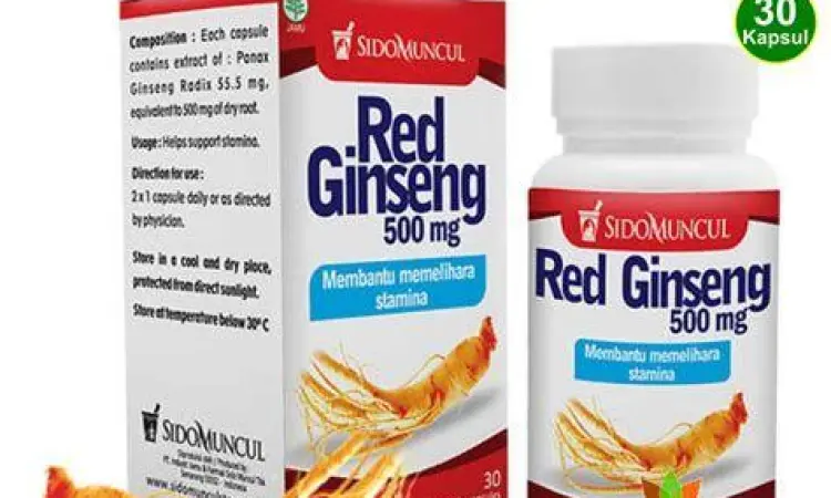 Akar ginseng merah untuk stamina pria