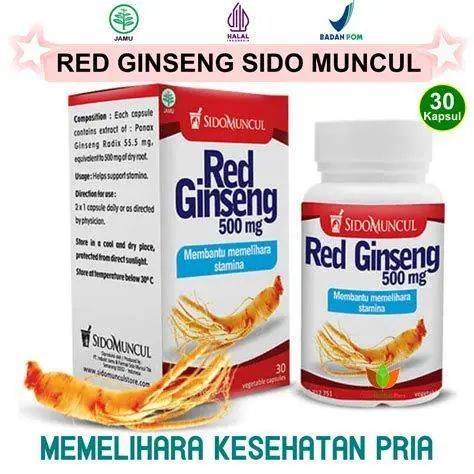 Ginseng Merah Herbal Vitalitas Akar ginseng merah untuk stamina pria