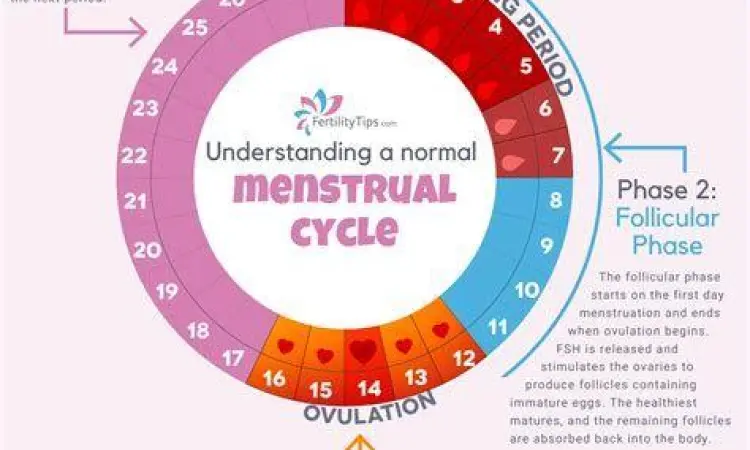 Ilustrasi keseimbangan hormon pada wanita