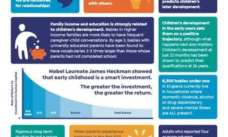 Infografis perkembangan otak bayi