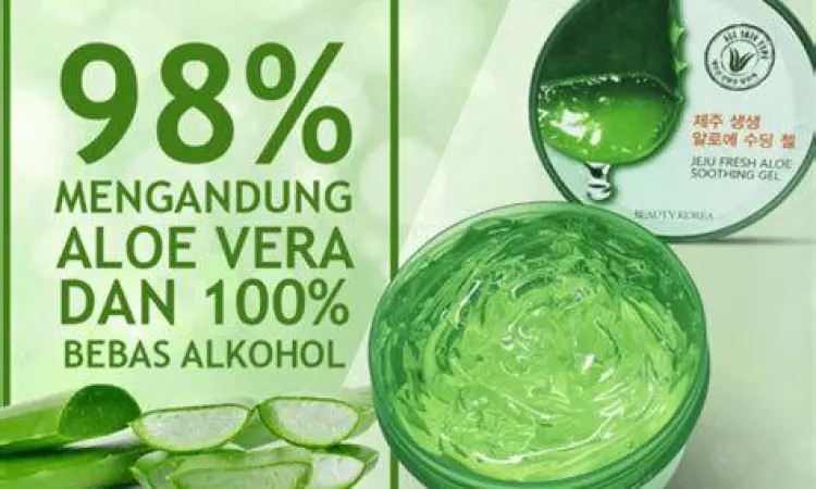Gel Lidah Buaya Alami Lidah buaya untuk penyembuhan luka mulut