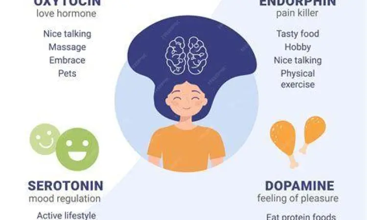 Mekanisme Hormon Bahagia Diagram hormon bahagia dopamin serotonin