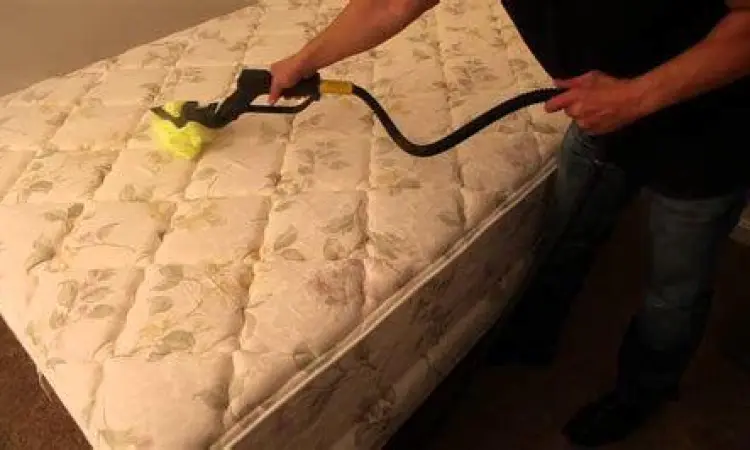 Membersihkan kasur dengan uap panas untuk membasmi kutu